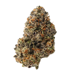 Big Chief Premium Indoor Flower