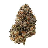 Big Chief Premium Indoor Flower