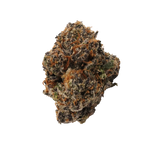 Big Chief Premium Indoor Flower