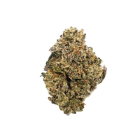 Big Chief Premium Indoor Flower