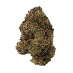 Big Chief Premium Indoor Flower