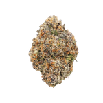 Big Chief Premium Indoor Flower